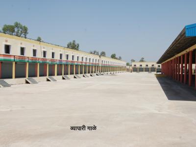 Whatsapp Image 2025 11 18 At 12.03.07