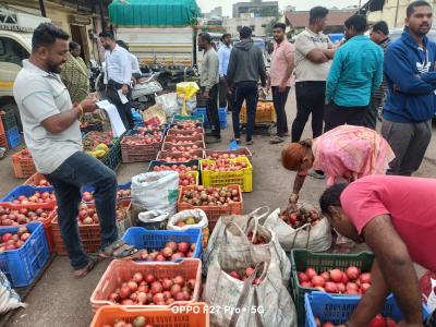 Whatsapp Image 2025 11 20 At 12.02.42