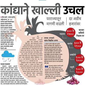 WhatsApp_Image_2025-12-23_at_4.46.04_PM_3_original