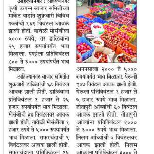 WhatsApp_Image_2025-12-23_at_4.46.04_PM_8_original