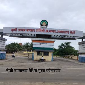 WhatsApp_Image_2025-11-18_at_12.03.25_original