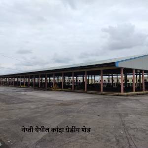 WhatsApp_Image_2025-11-18_at_12.03.23_1_original