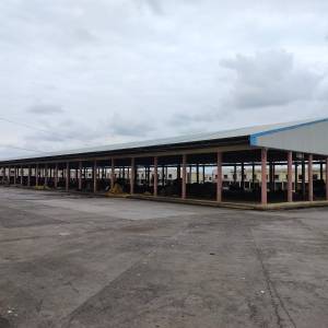 WhatsApp_Image_2025-11-18_at_12.03.24_original